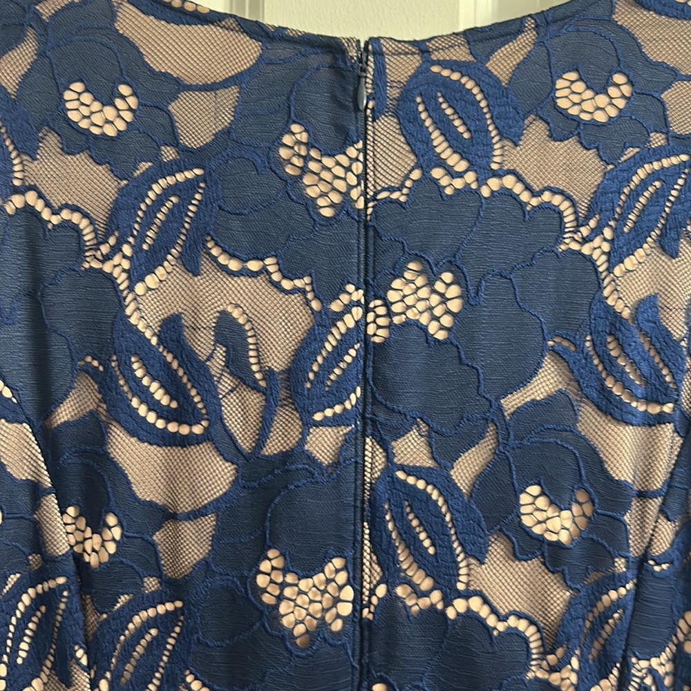 Adrianna Papell Navy Blue Lace Dress - Picture 9 of 13